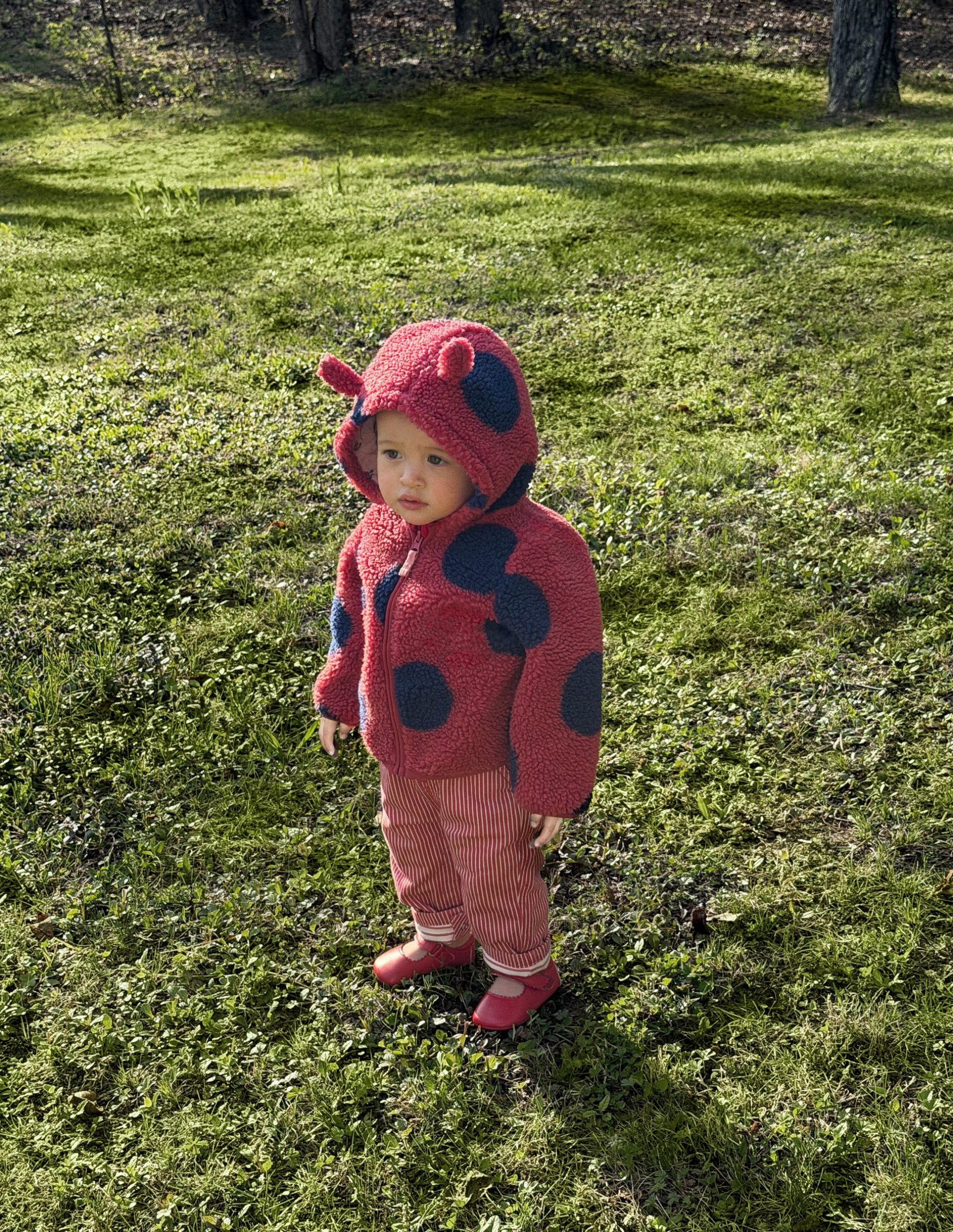 Novelty Cosy Borg Jacket-Ladybird - Image 5